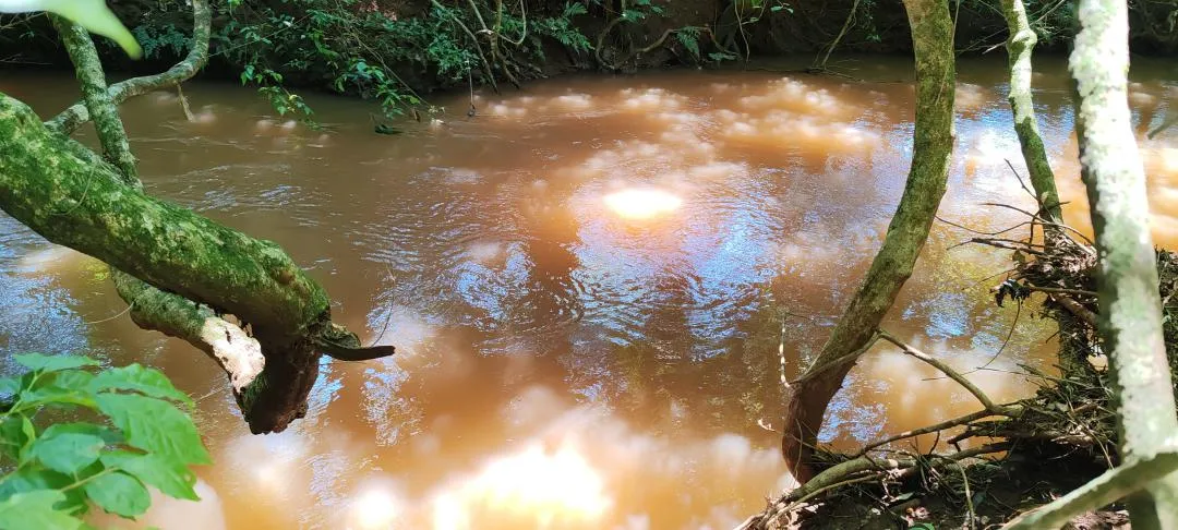 Imagem Chácara à venda em Cascavel - São Salvador - Lavoura e Rio