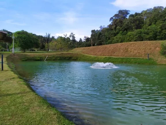 Imagem SITIO COMERCIAL em PRESIDENTE FIGUEIREDO - AM, Comunidade Rural