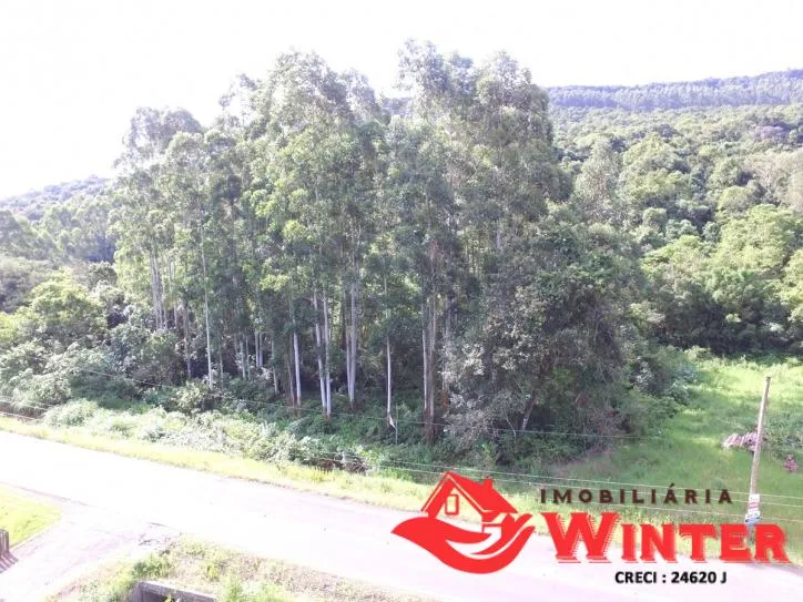Imagem Área de terra com 7.884,70m² no São Roque/ Feliz.