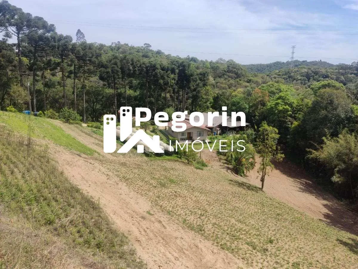 Imagem Chácara para Venda, Campo Magro / PR, bairro Hervalzinho, área total 24.397,00 m²