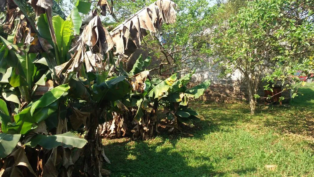 Imagem Terreno para Venda em São Leopoldo / RS no bairro Arroio da Manteiga