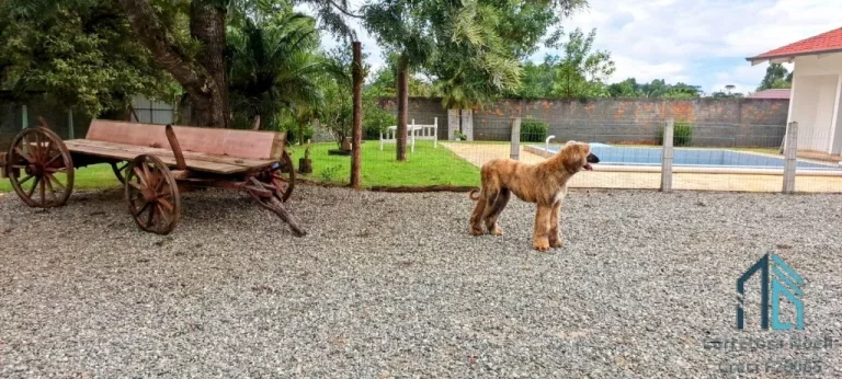 Sitio a venda medindo aprox. 20.000 mil m², no Centro de Mafra -SC