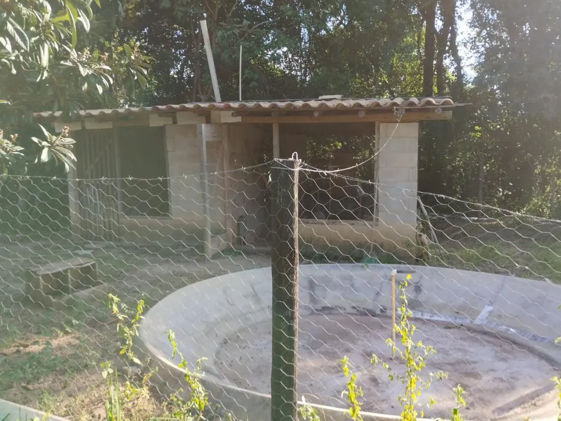 Imagem Vende-se Chácara em Piracema/MG Com 8.000 m² de área total