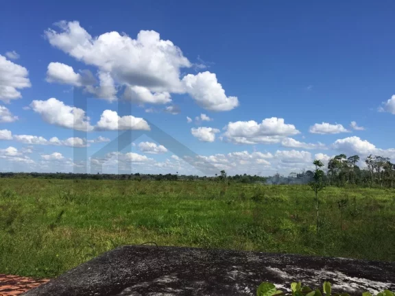 Imagem CASAL IMÓVEIS VENDE FAZENDA SÃO DOMINGOS DO CAPIM 400 HECTARES