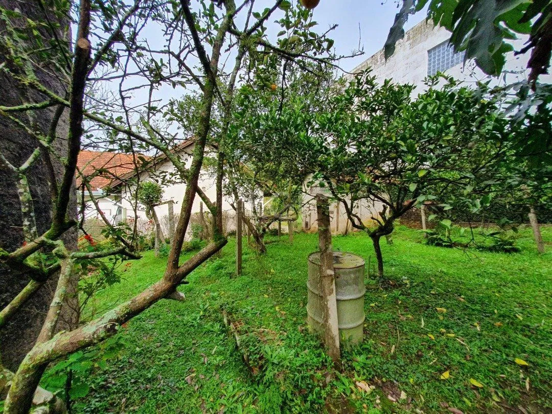 Imagem DOIS GRANDES TERRENOS localizados