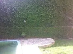 Imagem Casa para Venda - 600m², 6 dormitórios, sendo 6 suites, 9 vagas - Vila Assunção