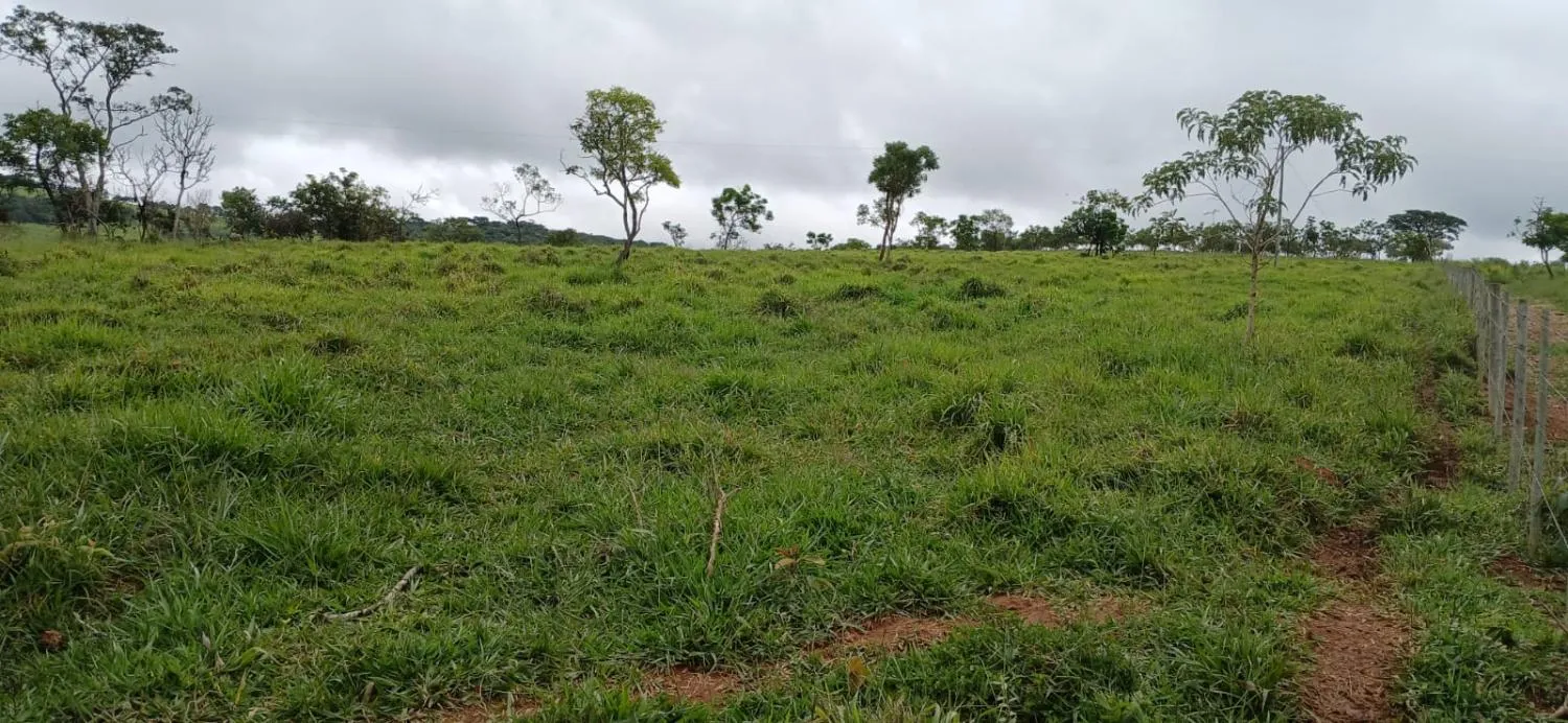 Imagem SÍTIO ESPETACULAR À VENDA EM PASSA TEMPO/MG -- 5,9 hectares de terra