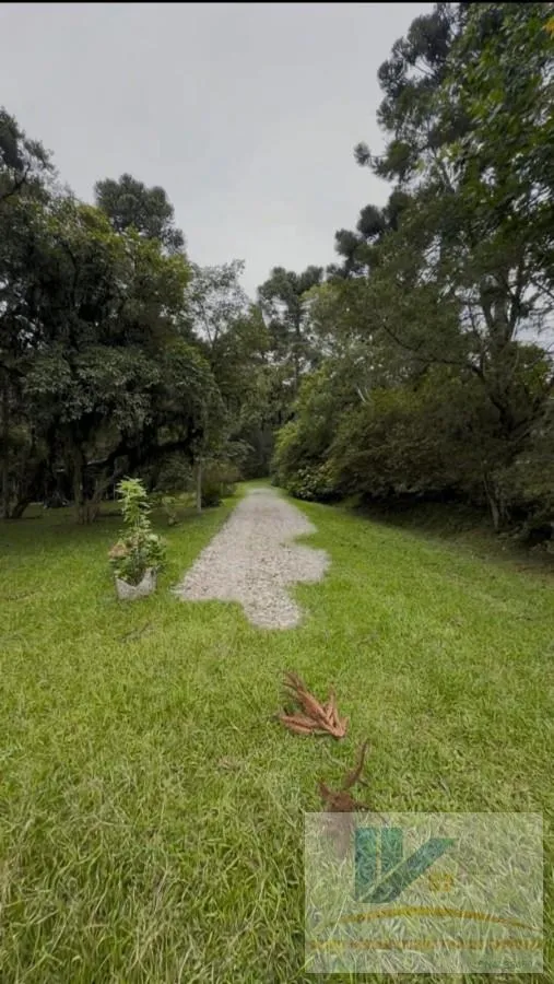 Imagem Chácara para Venda em São José dos Pinhais, Contenda