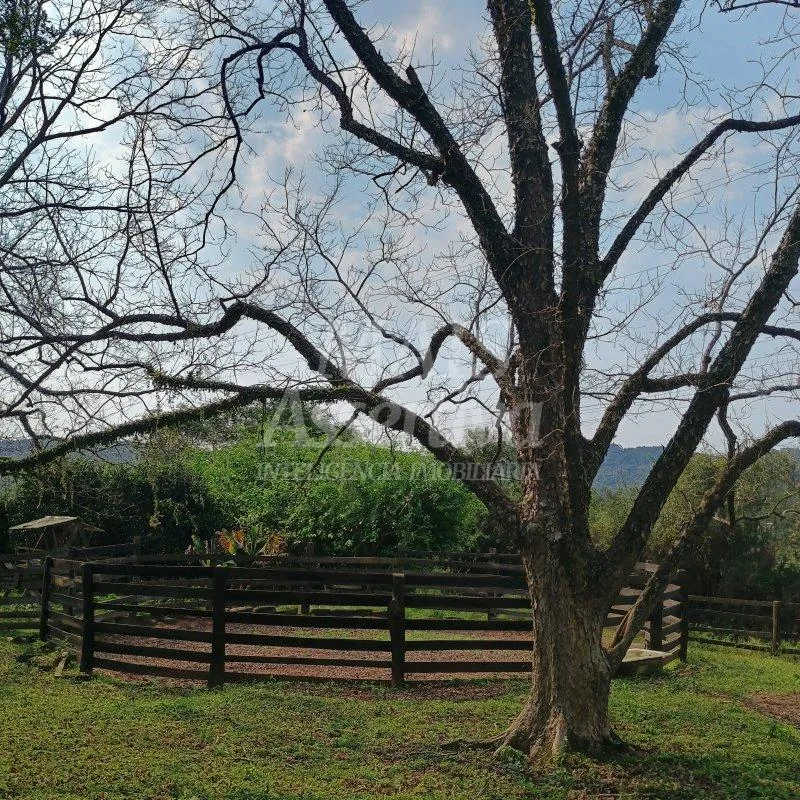Imagem Chácara para venda em Lomba Grande, Novo Hamburgo - 2 hectares