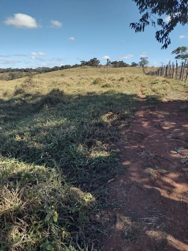 Imagem Vendo terreno em Crucilândia com 48 hectares de terra