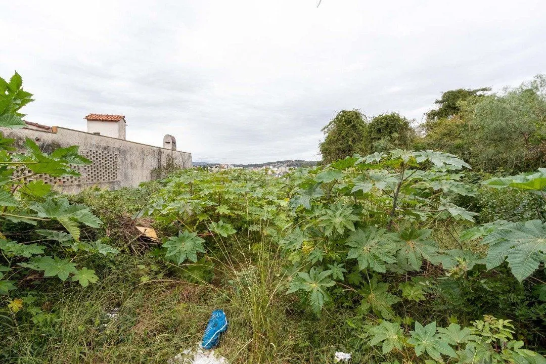 Imagem Terreno para Venda - 0m², 0 dormitórios, Vila Assunção
