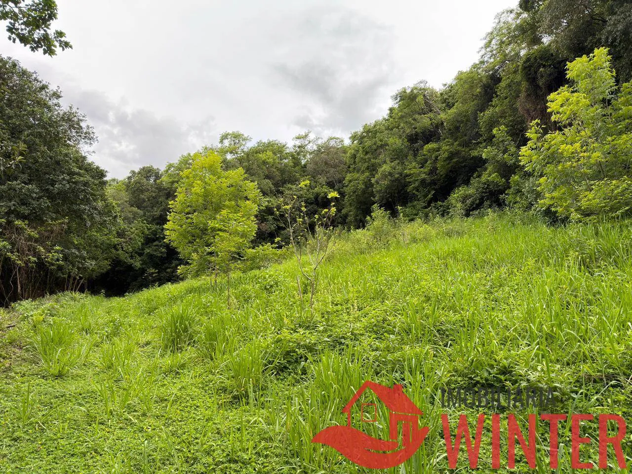 Imagem Area com 10.571 m2 no São Roque, Feliz