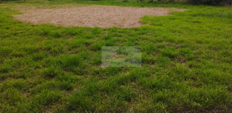 Imagem TERRENO REUNIDAS PILAR DO SUL