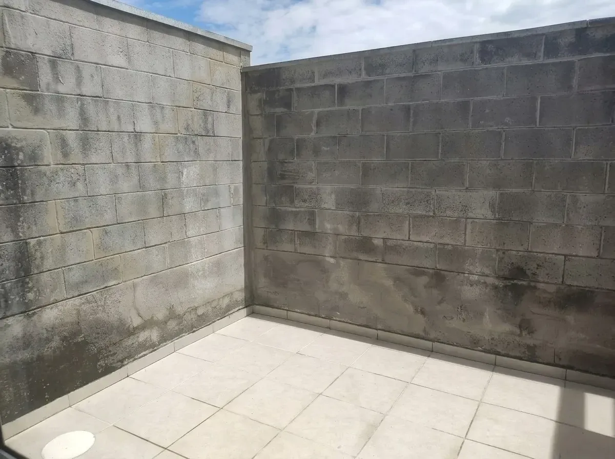 Imagem Casa de Condomínio com 2 Quartos para Alugar, 57,33 m² em Jardim Colônia - Jacareí