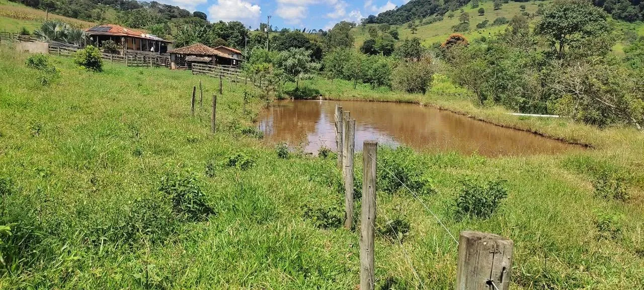 Imagem vendo um belo sítio em Piedade dos Gerais /MG com 12 hectares de terra ( 120.000 m² ),