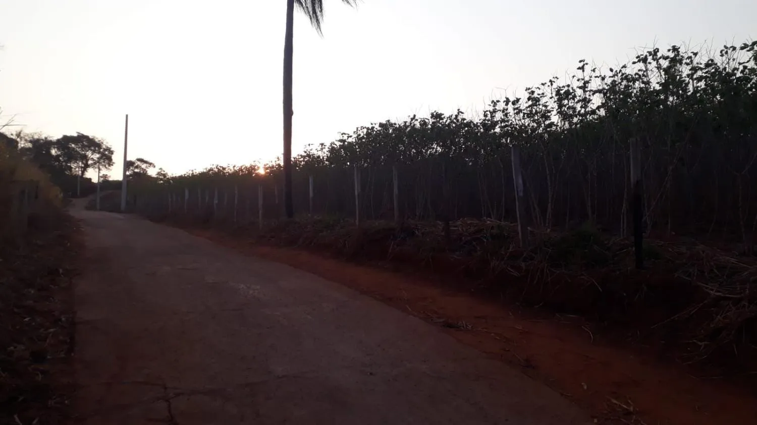 Imagem CHÁCARAS À VENDA EM CRUCILÂNDIA - MG com 10.000 m², toda plana