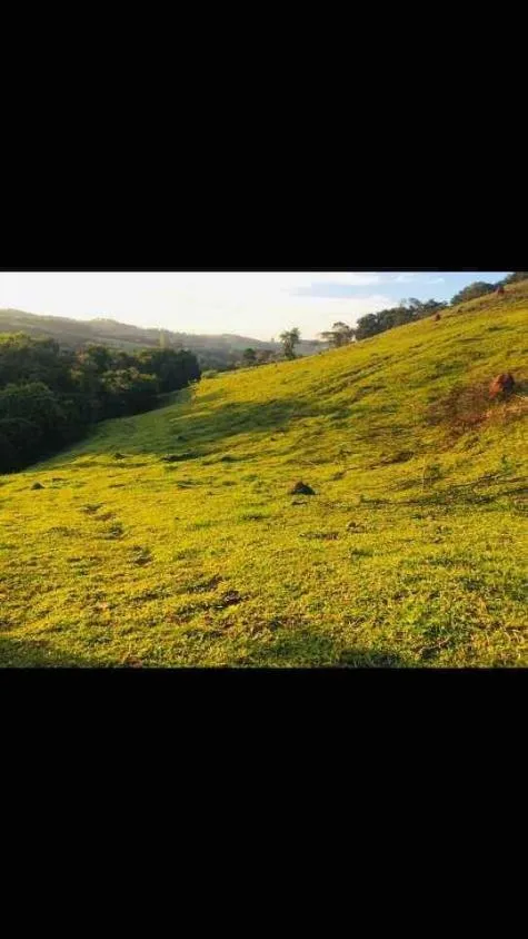 Imagem Terreno à Venda em Piedade dos Gerais / MG 15 hectares de área total