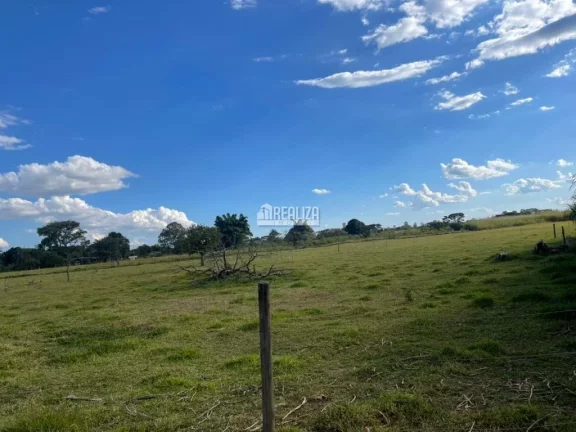 Imagem Chácara à venda na Área Rural de Uberaba - Ótima oportunidade!