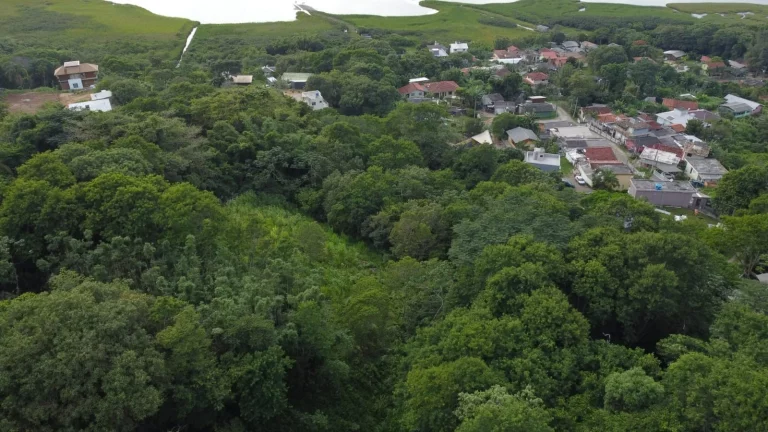 Imagem Terreno à Venda no Bairro Macacu em Garopaba/SC! Oportunidade Única: 1.728,00 m² de Área!