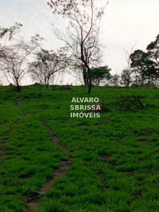 Imagem Área industrial e comercial a 10km do CACAU PARK. Com 3.1 milhoes de ms2. Com frente de 1 km linear beirando a Rodovia Castelo Banco (km75)