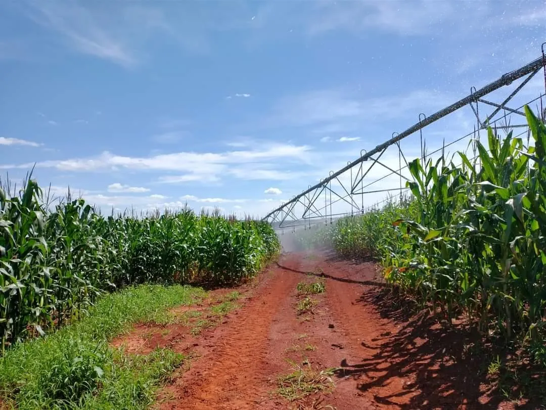 Imagem FAZENDA PORTEIRA FECHADA À VENDA - REGIÃO DE DIAMANTINA 257 hectares de área total