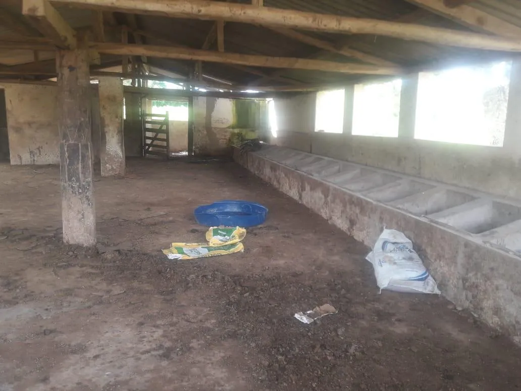 Imagem Vendo uma ótima fazenda em Passatempo 315 hectares