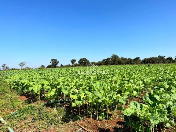 Imagem Área à venda, 550000 m² por R$ 15.000.000,00 - Rancho Três Lagoas - Igarapé/MG
