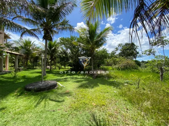 Imagem SITIO RURAL em SANTA CRUZ CABRÁLIA - BA, BR 367