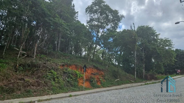 Imagem Terreno de Esquina a venda - Zona Industrial 7872 m2 em Blumenau SC