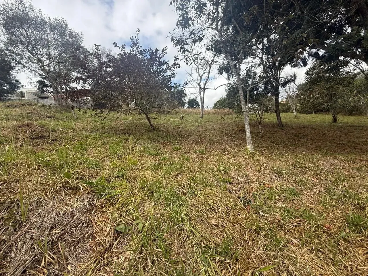 Foto do imóvel Terreno à Venda, 800 m² em Santa Isabel - Santa Isabel