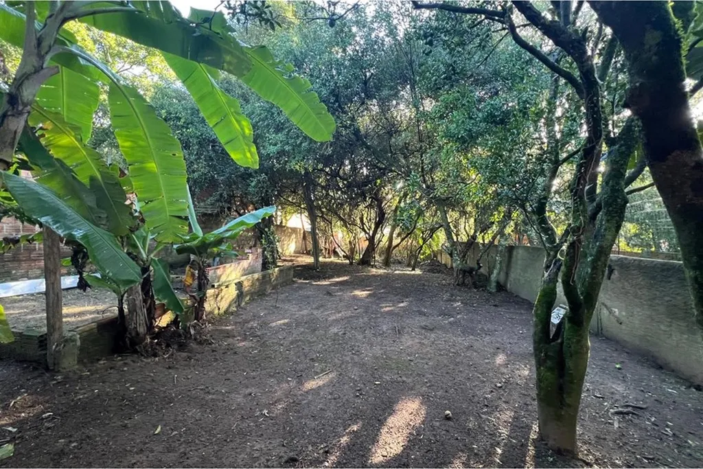 Imagem Terreno em Belém Velho