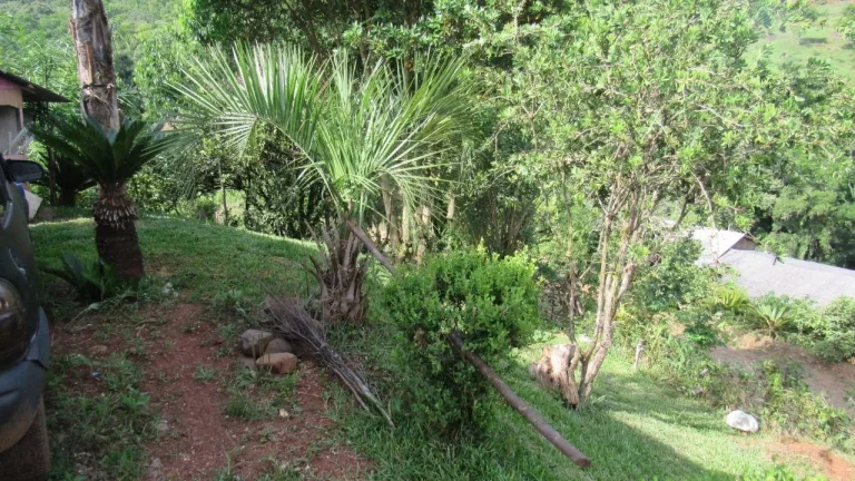 Imagem Casa para Venda em Peritiba, Rural, 3 dormitórios, 2 banheiros
