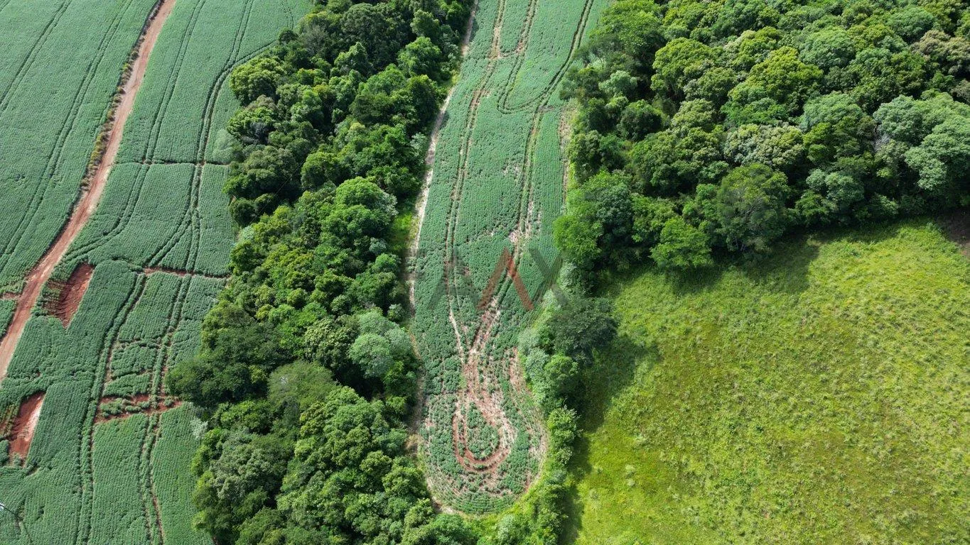 Imagem Àrea de plantio a venda em PITANGA - PR, 12ha sendo 10ha de plantio.