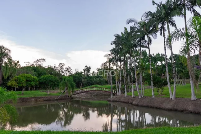 Imagem Chácara | Guaramirim (Tibagi) | 158.500m²