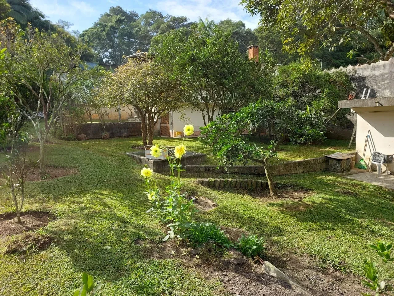 Imagem Chácara com 3 Quartos à Venda, 2000 metros em Jardim Colibri - Embu das Artes
