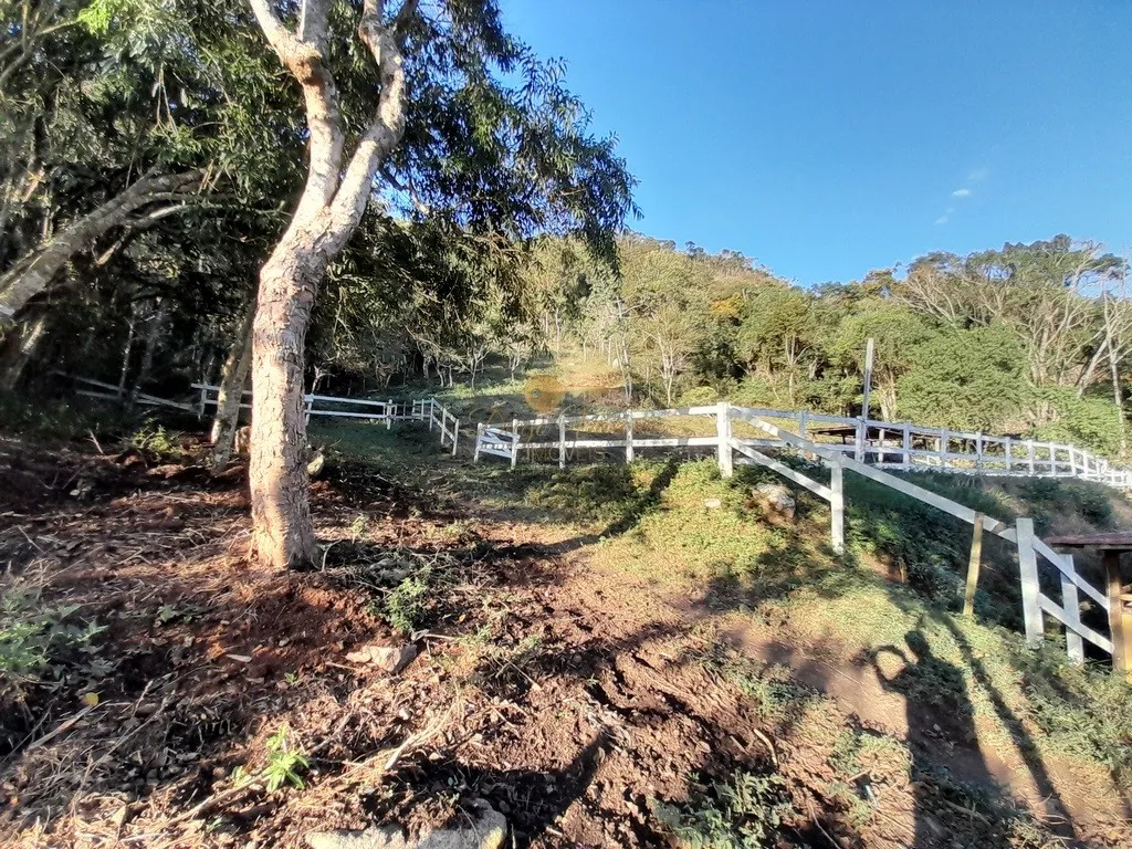 Imagem Haras para Venda em Teresópolis / RJ no bairro Córrego das Pedras