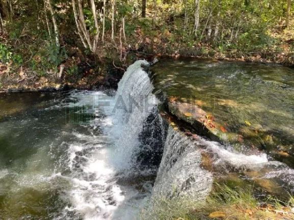 Imagem Fazenda à venda em Campos Lindos-TO: 6.706 hectares de pura oportunidade de investimento!