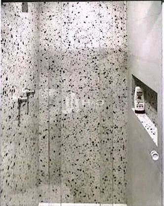 Imagem Apartamento à Venda na Vila Carrão com 51 m² 2 Dormitórios 1 Suíte 1 Vaga de Garagem