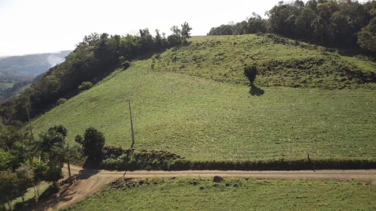 Imagem Área Agrícola para Venda em Concórdia, Rural