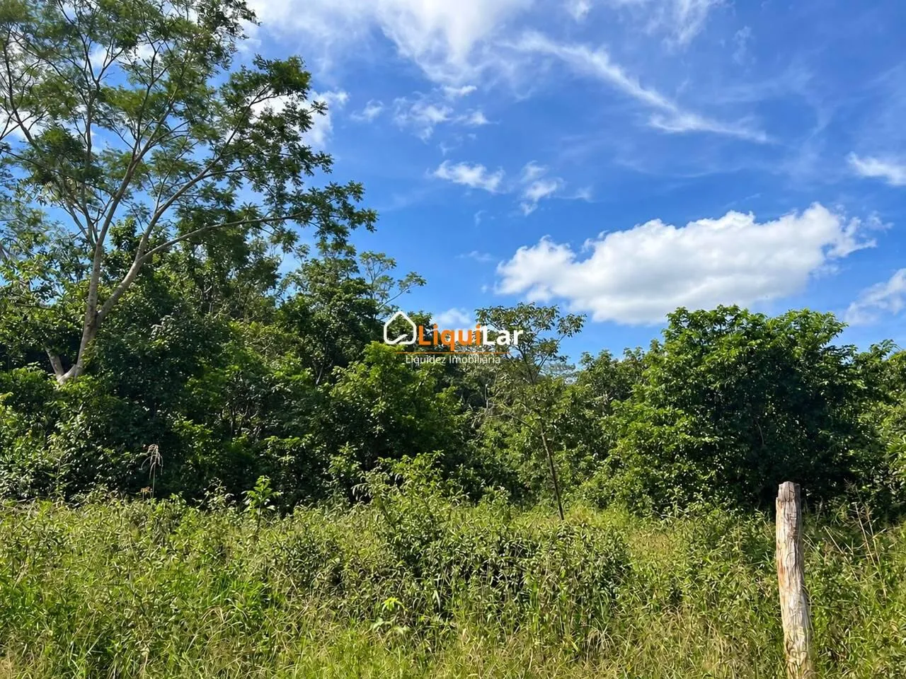 Imagem Pesqueiro com Fundo e Acesso Direto ao Rio Miranda à Venda em Miranda-MS com 4.138 m²