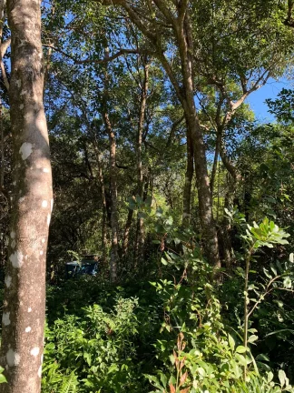 Imagem Terreno à venda em Garopaba-SC, bairro Ambrósio, 600m² de área! Oportunidade única!