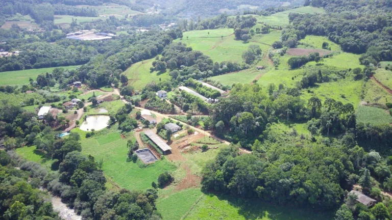 Imagem Área Agrícola para Venda em Arabuta, Rodovia