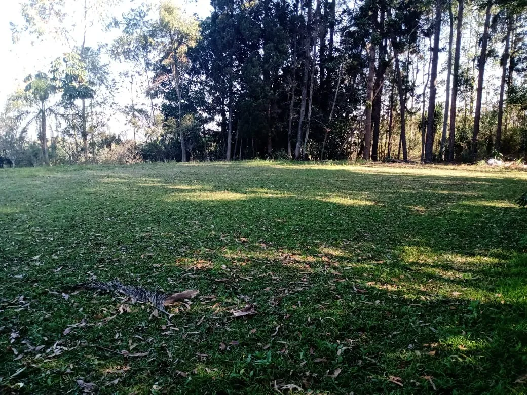 Imagem Encantador Sítio à Venda em Piedade/SP - Uma joia de 5 alqueires