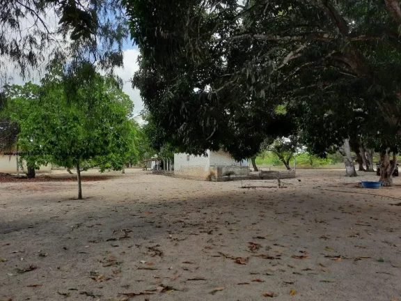 Imagem Granja para Venda em Macaíba, Centro