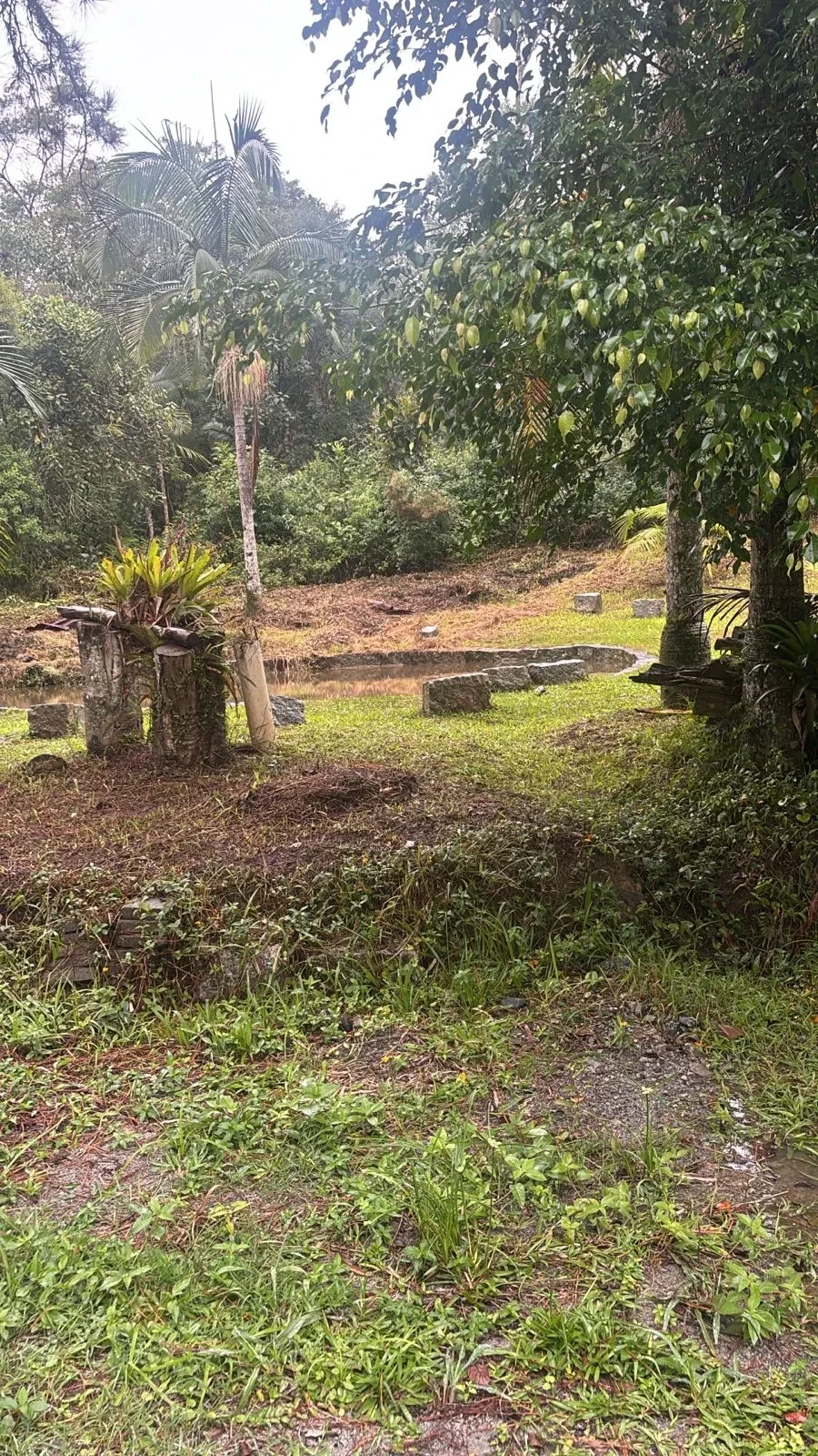 Imagem Chácara com 3 Quartos à Venda, 4000 m² em Rio Grande da Serra - Rio Grande da Serra