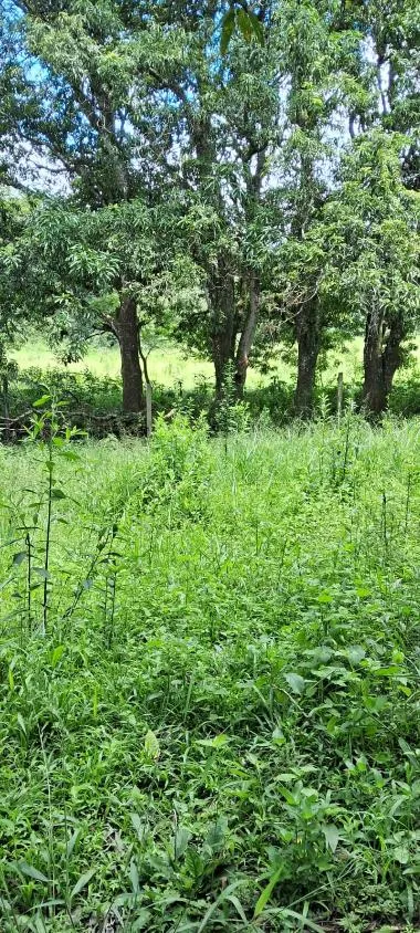 Imagem Sítio a venda de 8,6 hectares (86.000 m²) em Brumadinho/MG,