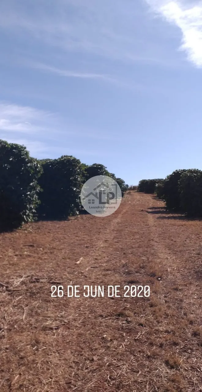 Imagem Fazenda de Café à Venda na Região do Alto Paranaíba - Minas Gerais