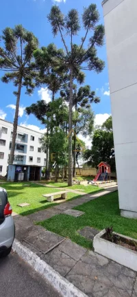 Imagem Apartamento para alugar no bairro Bom Jesus - São José dos Pinhais/PR
