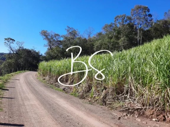 Imagem SITIO RURAL em IGREJINHA - RS, Rochedo
