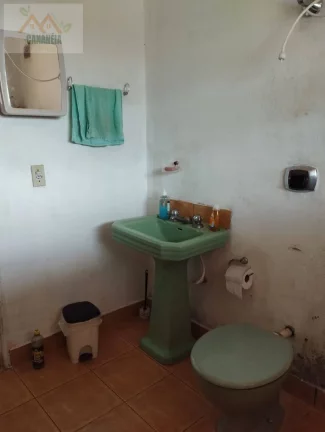 Imagem CHÁCARA CANANÉIA